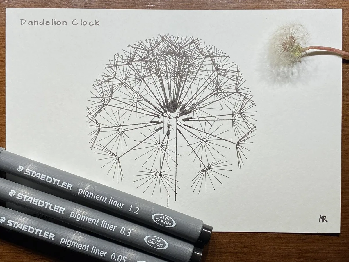 Plotter drawing of a Dandelion