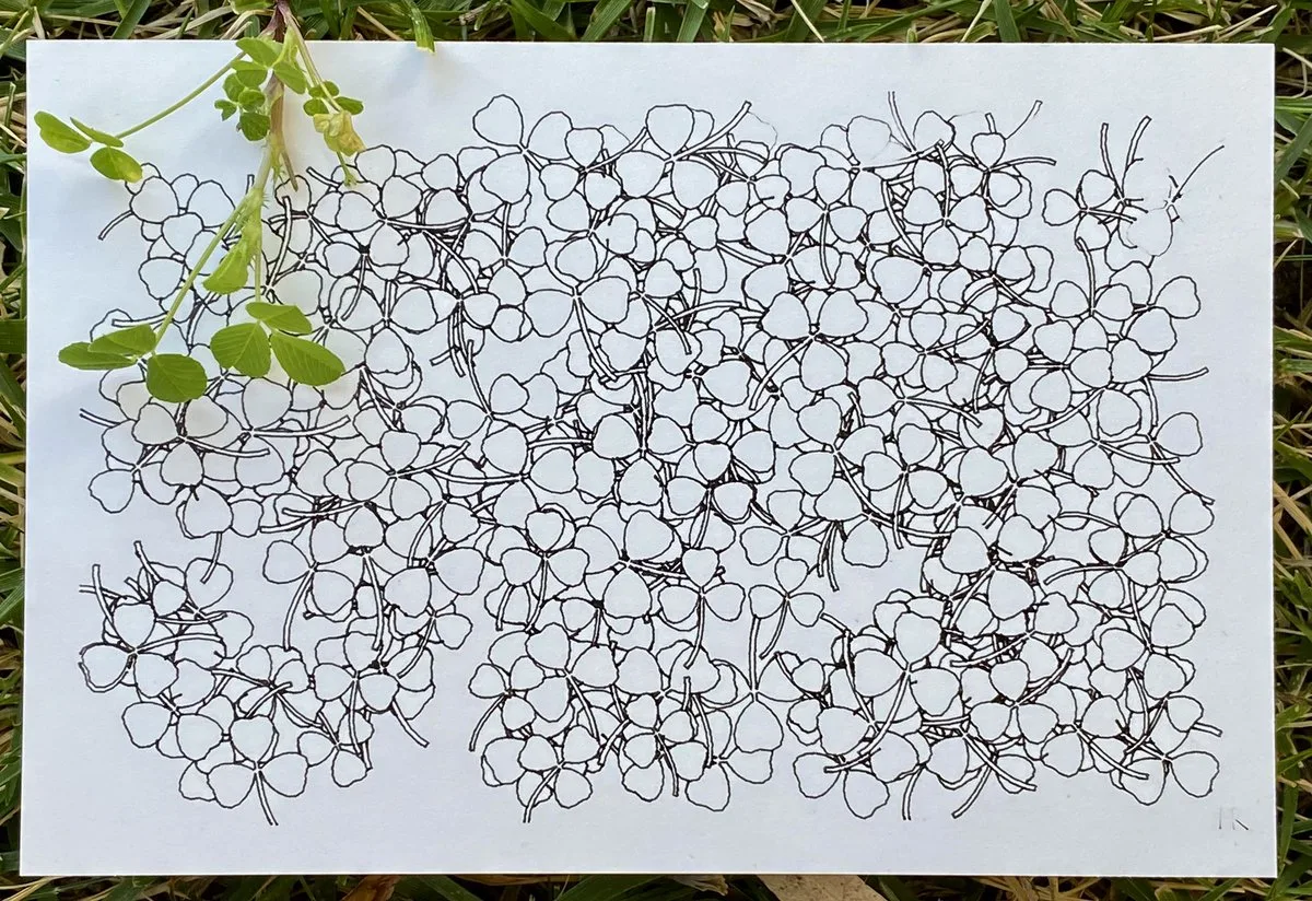 Plotter drawing of a clover